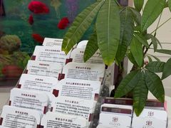 -雅悦齿科(顾村公园店)