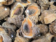 -和源祥·日照菜扛把子(万平口一店)