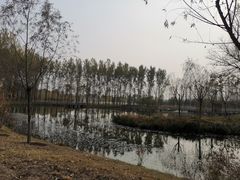 -东郊湿地公园