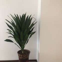 -馨媛瑜伽普拉提