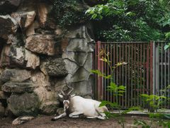 -杭州动物园