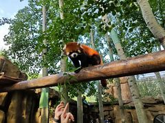 -北京野生动物园