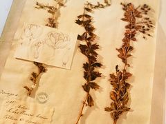 -二酉书店TOYOU BOOKS