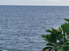 -广东惠东海龟国家级自然保护区