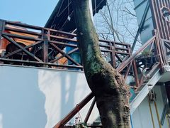 -随意茶庄·地道杭帮农家菜(梅家坞店)