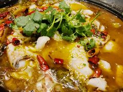 -金色艳阳天•粤菜 淮扬菜(古平岗店)