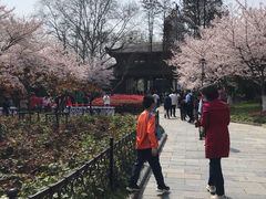 -堤角公园