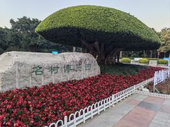 -南宁南湖公园
