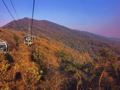 -紫金山山顶公园
