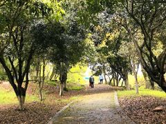-石峰公园