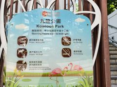 -九龙公园