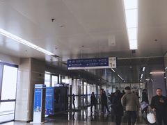 -首都医科大学附属北京天坛医院