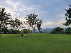 -长田漾湿地公园