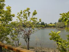 -东郊湿地公园