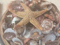 -船梆煮•蒸汽海鲜·炉火烤肉(五四广场店)