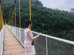 -芦沟竹海