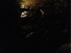 这家酒店在寻死！我看黑店还能开多久！-天目湖涵田度假村