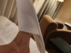 -新加坡雅庭假日酒店