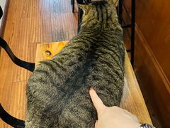 -HUG COFFEE(鼓楼店)