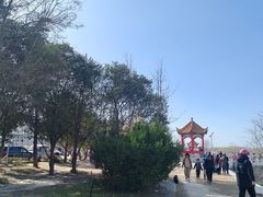 -黄河花园口旅游区