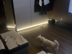 -水悦堂足浴SPA养生会所