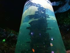 -青岛嘉年华主题乐园