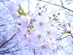 -莹珠阁·私房菜