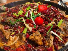 铁板鮰鱼-老板恋上鱼(环山路店)