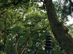 -普陀山风景名胜区-法雨禅寺