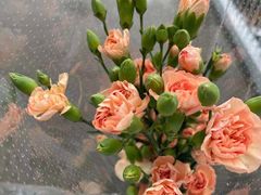 -悦屋老板娘的烤肉店(紫薇田园店)