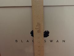 -BLACKSWAN黑天鹅(环球店)