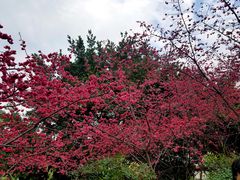 -乌山风景区