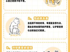-申普宠物医院·心脏介入·心血管微创(总院)