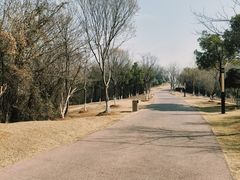 -盘龙城国家考古遗址公园