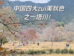-塔川景区