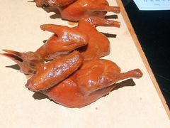-三强鸽子(中原路店)