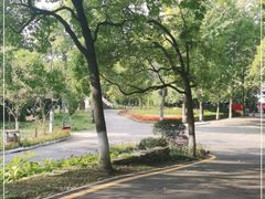 -花溪公园
