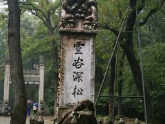 -灵谷景区