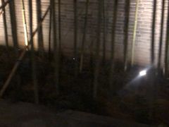 -上海璞麗酒店