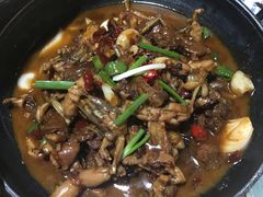 -农轩·醉黄冈