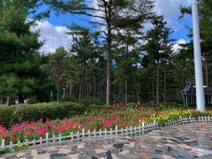 -黑龙江省森林植物园