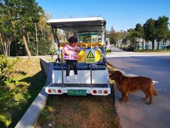 -上海长兴岛郊野公园