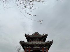 -颐和园