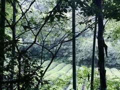 -敬亭山风景名胜区