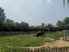 -西安秦岭野生动物园