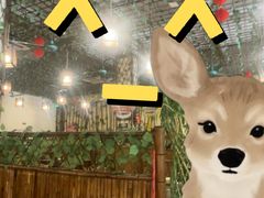 -尚竹阁冬瓜盅·18年地标美食(平洲店)