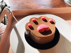 -喵屿·大理花园猫咖