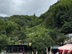 -井空里大峡谷
