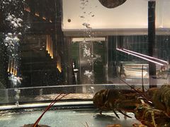 -官也街澳门火锅(新源里店)