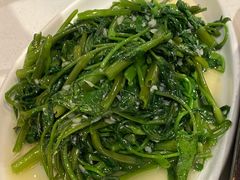 清炒时蔬-拈菜(观音桥阳光世纪店)